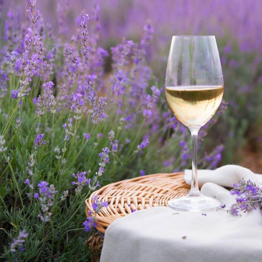 Le Mas Aux Aromes Puget Екстериор снимка